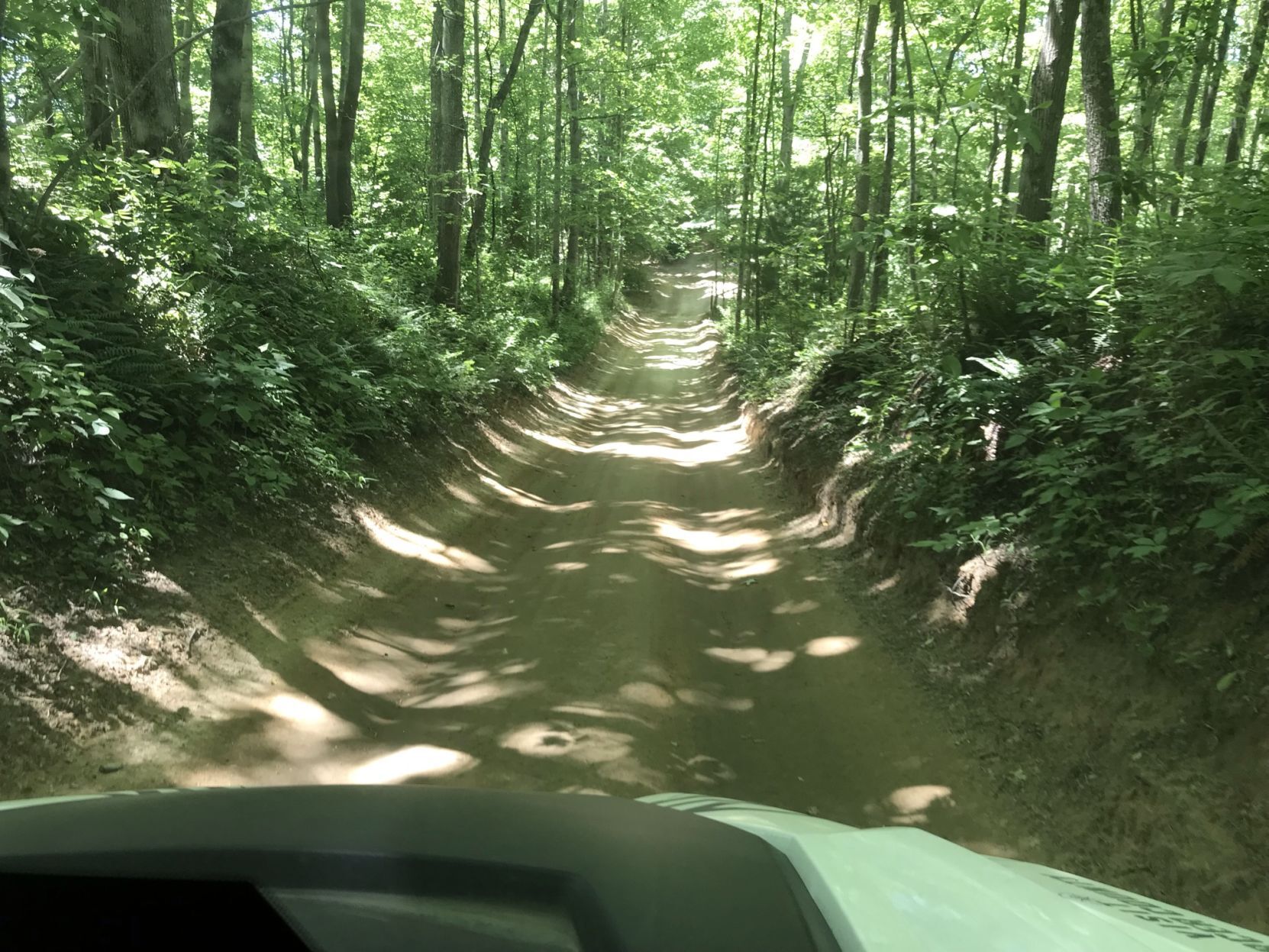 mercer-trail2